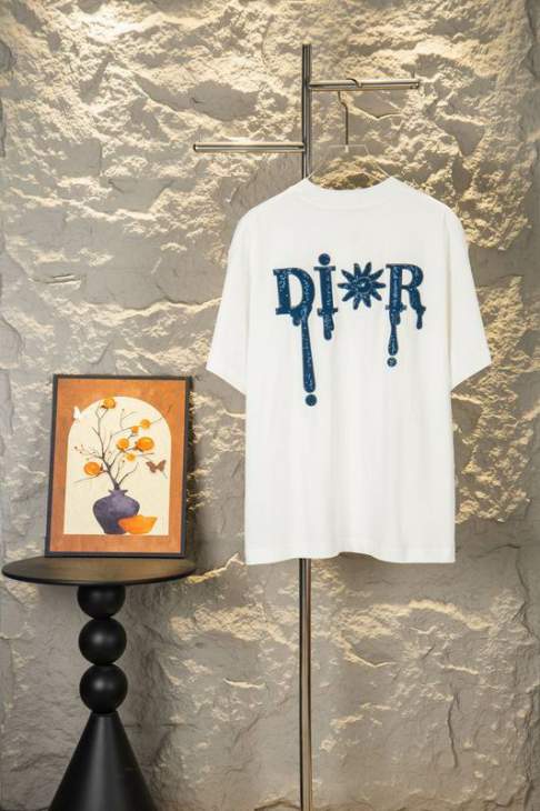 Dior T Shirts Short _SKUDiorS-XLxetr31215585